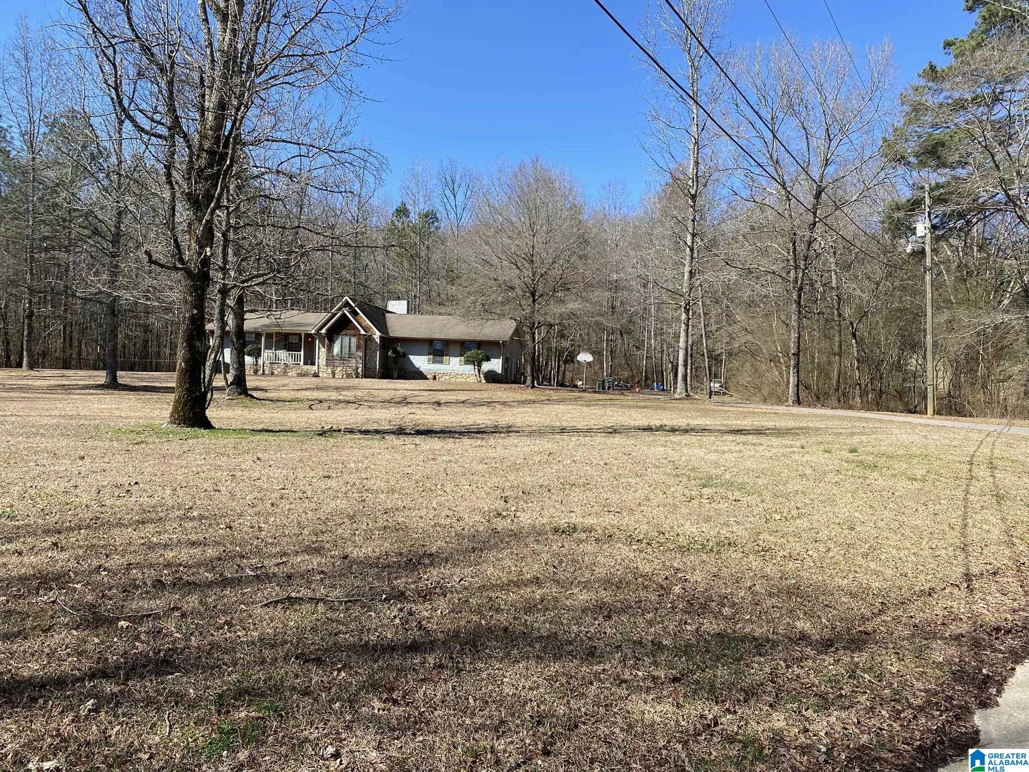 Photo Of 1675 Wolf Creek Road Pell City