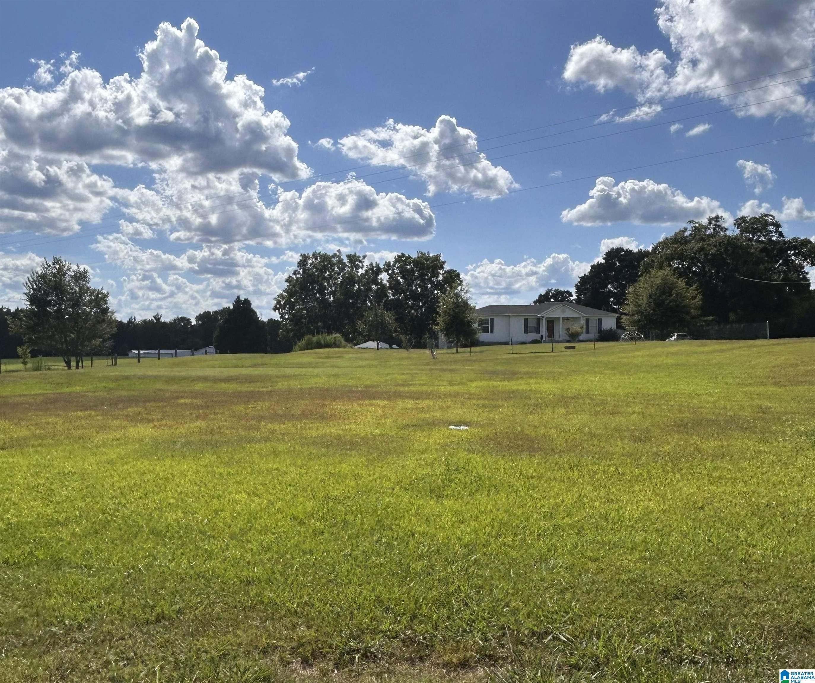 Birmingham Home Listings: See what's on the market now (Aug. 14-16) 21 Photo of 4555 COUNTY ROAD 633 CLANTON