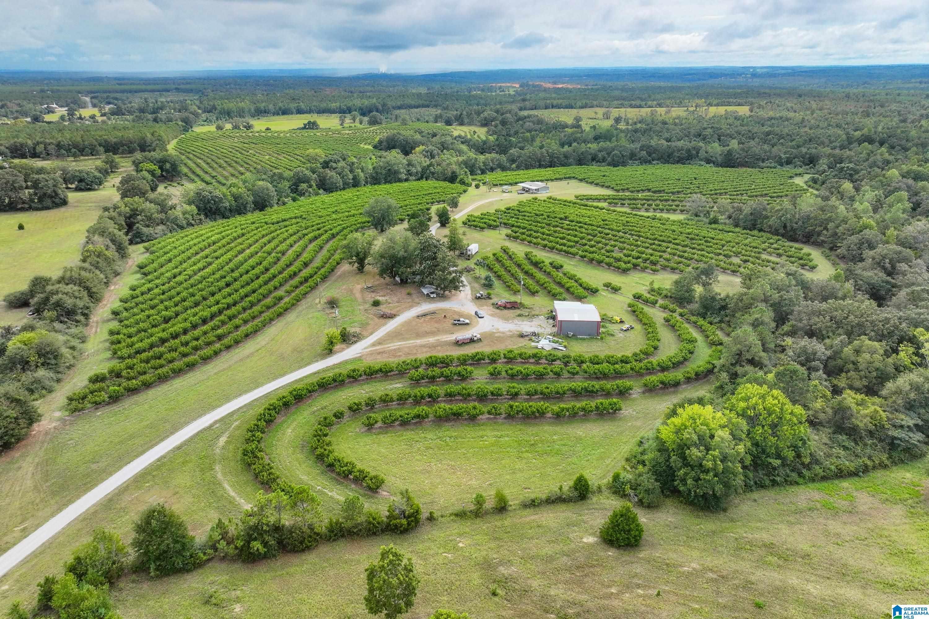 Photo of 13610 COUNTY ROAD 37 CLANTON
