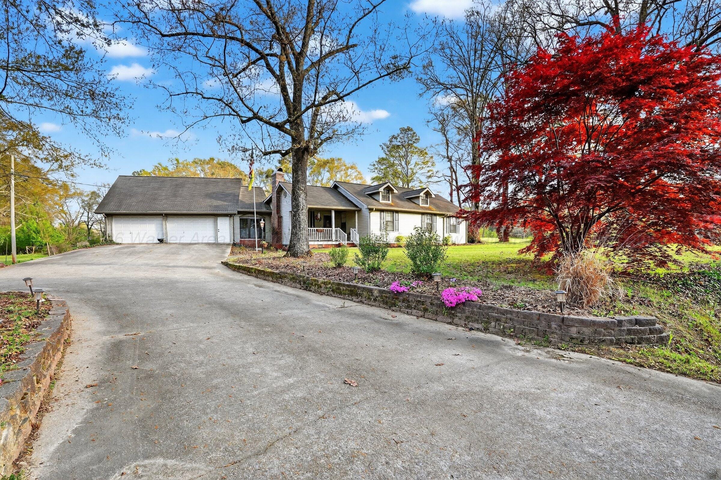 Photo Of 854 Curry Jasper